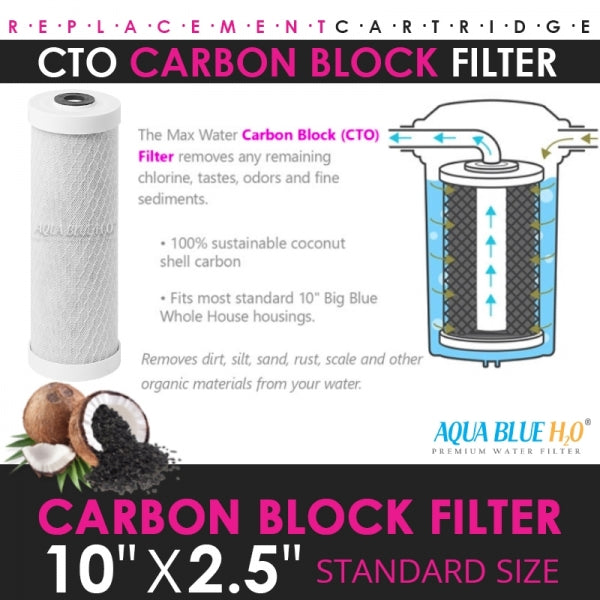 10" Big Blue Housing W/Press Relief Button 5 Micron Carbon Block Filter