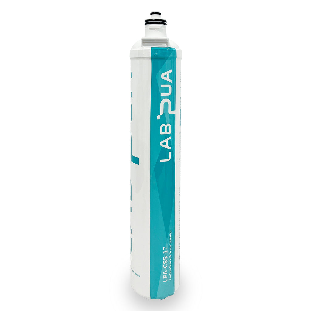 LPA CS5 17 (5um carbon block & Scale inhibitor, 17″L)