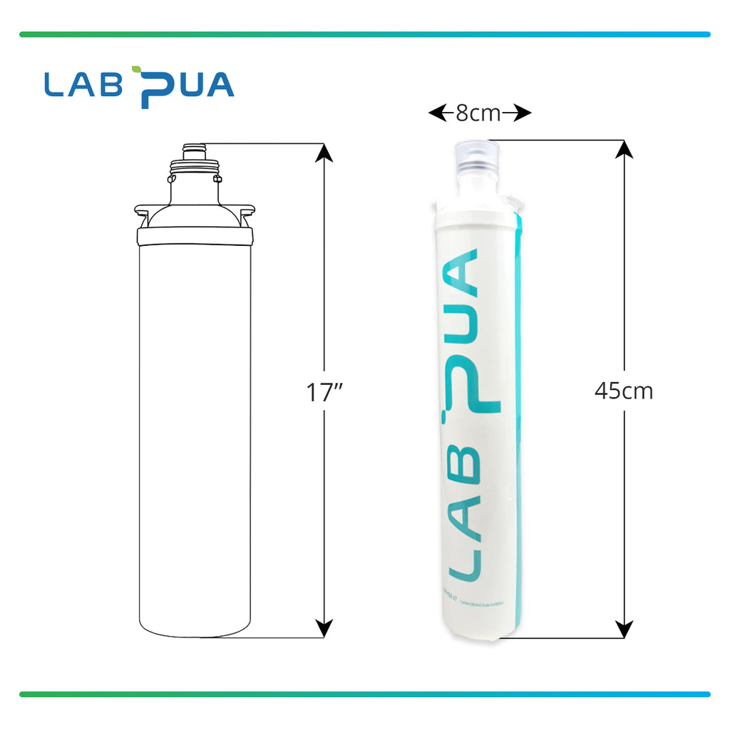 Lab Pua Twin Header series 5Micron Pure Carbon block with 0.1 Micron Ultra Fine & Scale Filter KIT
