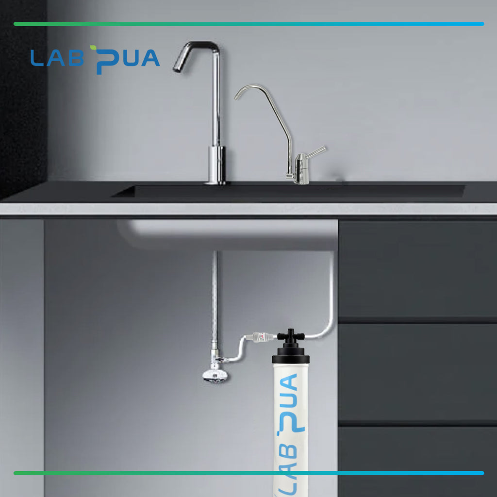 Lab Pua Twin Header series Sediment with Carbon Block with Polyphosphate