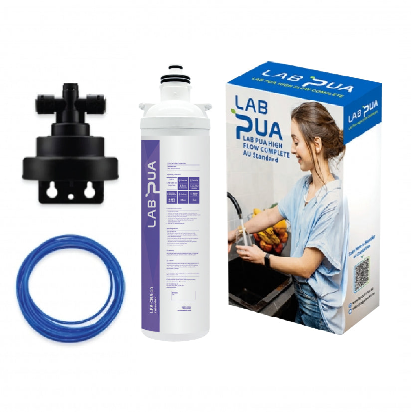 Economaster 60 BCF 19 with Lab Pua LPA-CB5-10 (5um Carbon Block, 10″L)