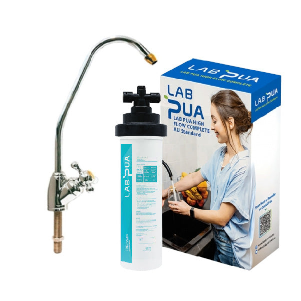 Lab Pua Residential Water Filter LPA-CS5-10 5Micron carbon block & Scale inhibitor