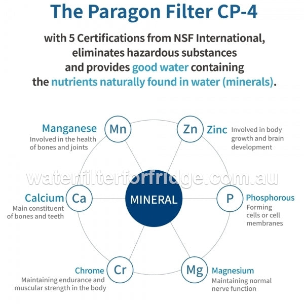 PFOS And PFOA Remove Filter System Water Marked Australia Stock 5 NSF Approved PFOS+PFOA CP-4