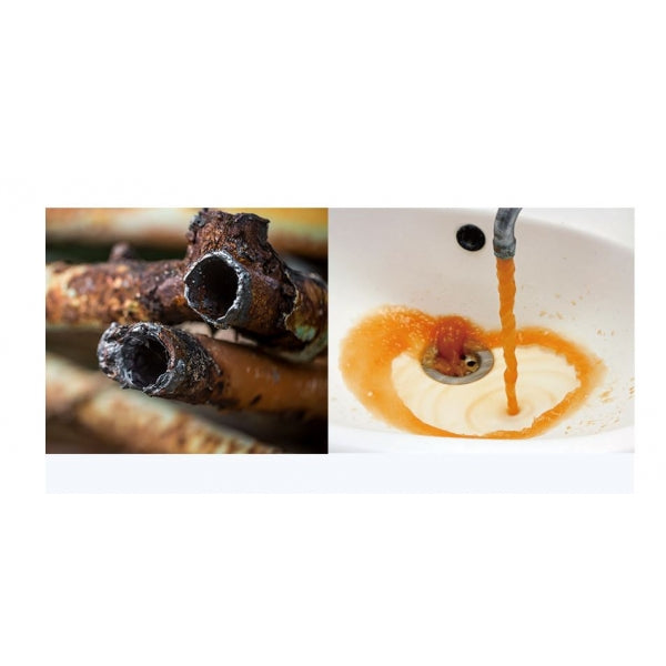 Premium Shower Filter - Antibacterial Rust Removal