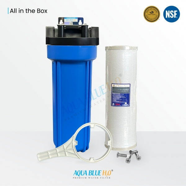 Whole House Water System With Dual Carbon +Sediment Filter